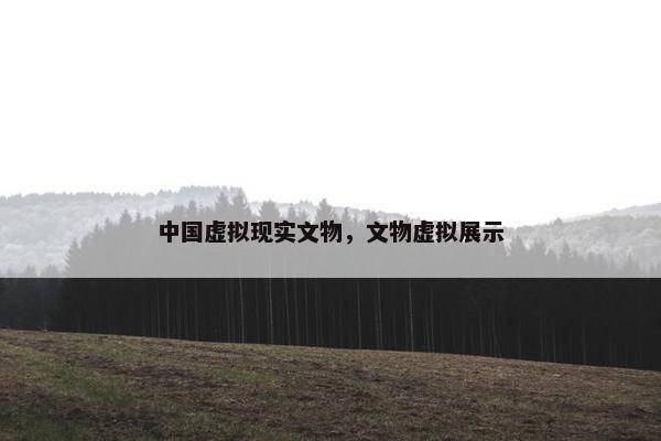 中国虚拟现实文物，文物虚拟展示
