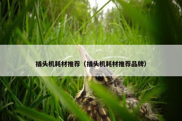插头机耗材推荐（插头机耗材推荐品牌）