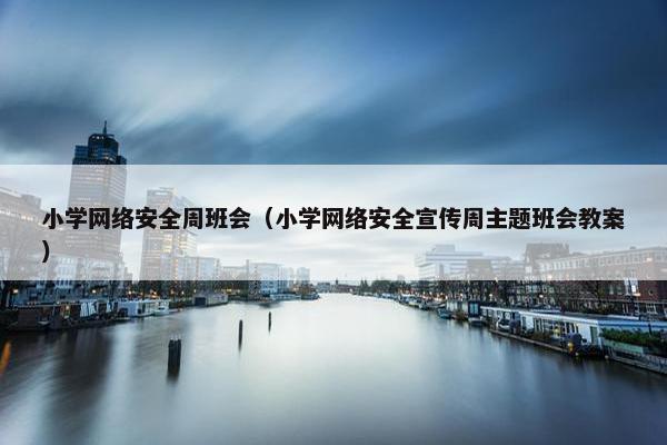 小学网络安全周班会（小学网络安全宣传周主题班会教案）