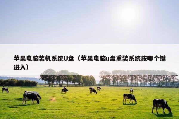 苹果电脑装机系统U盘（苹果电脑u盘重装系统按哪个键进入）