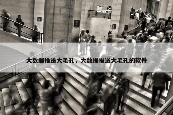 大数据推送大毛孔，大数据推送大毛孔的软件
