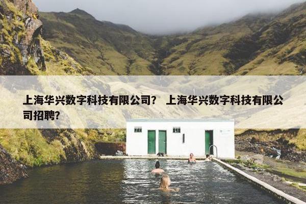 上海华兴数字科技有限公司？ 上海华兴数字科技有限公司招聘？