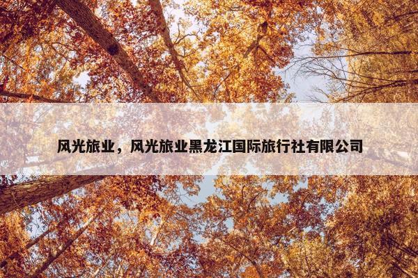 风光旅业，风光旅业黑龙江国际旅行社有限公司