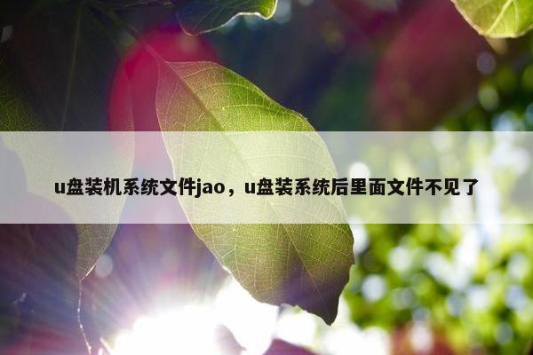 u盘装机系统文件jao，u盘装系统后里面文件不见了