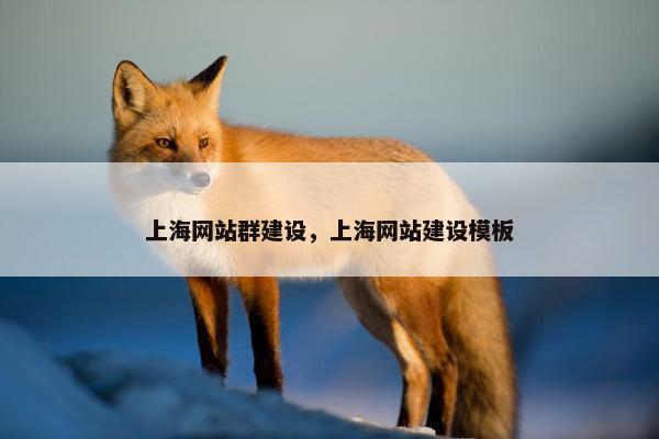 上海网站群建设，上海网站建设模板