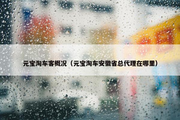 元宝淘车客概况（元宝淘车安徽省总代理在哪里）