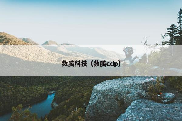 数腾科技（数腾cdp）