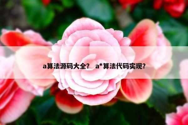 a算法源码大全？ a*算法代码实现？