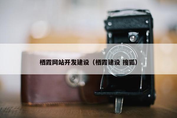栖霞网站开发建设（栖霞建设 搜狐）