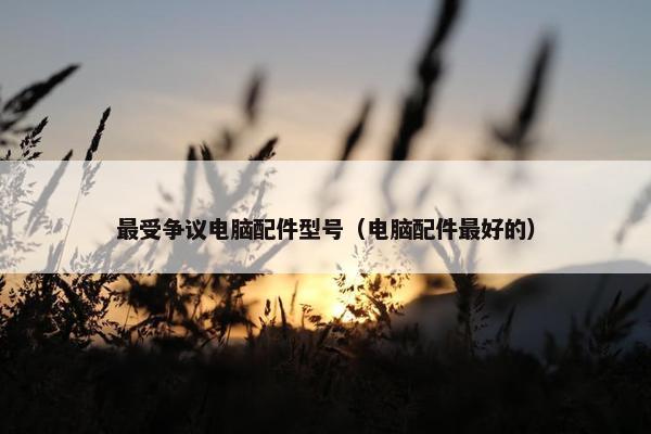 最受争议电脑配件型号（电脑配件最好的）