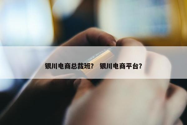银川电商总裁班？ 银川电商平台？