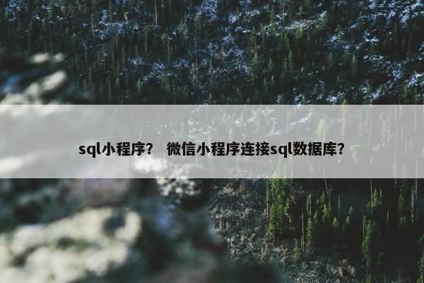 sql小程序？ 微信小程序连接sql数据库？