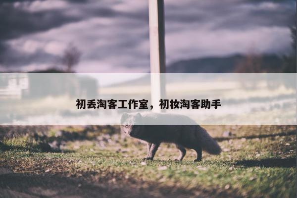 初丢淘客工作室，初妆淘客助手