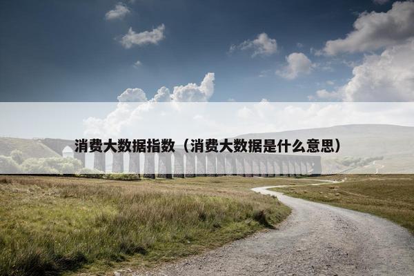 消费大数据指数（消费大数据是什么意思）
