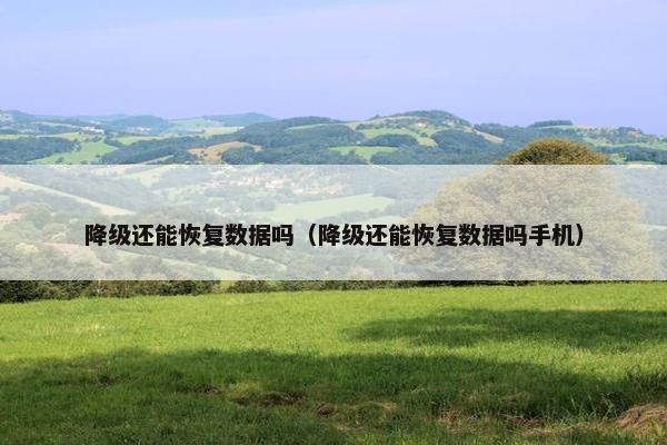 降级还能恢复数据吗（降级还能恢复数据吗手机）