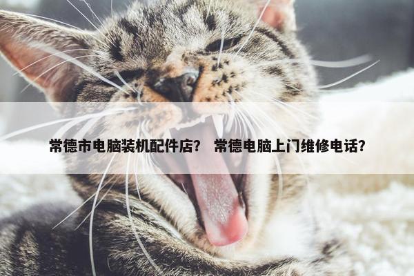 常德市电脑装机配件店？ 常德电脑上门维修电话？