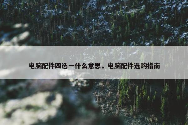 电脑配件四选一什么意思，电脑配件选购指南