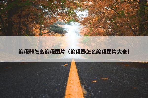 编程器怎么编程图片（编程器怎么编程图片大全）