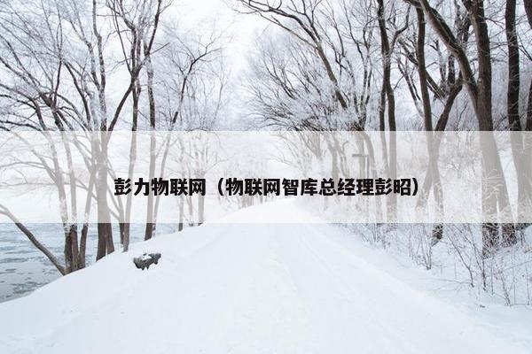 彭力物联网（物联网智库总经理彭昭）