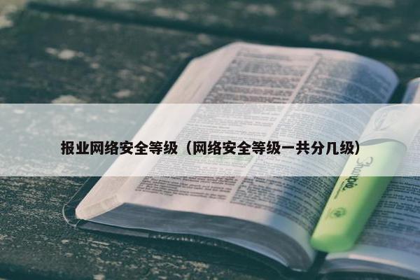 报业网络安全等级（网络安全等级一共分几级）