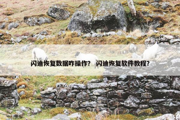 闪迪恢复数据咋操作？ 闪迪恢复软件教程？