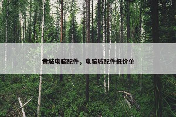 黄城电脑配件，电脑城配件报价单