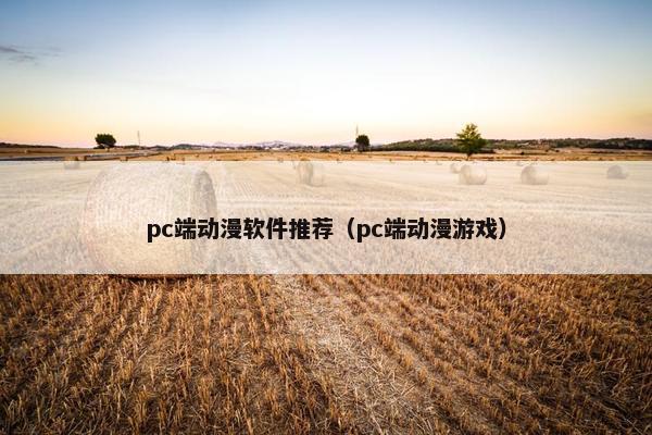 pc端动漫软件推荐（pc端动漫游戏）