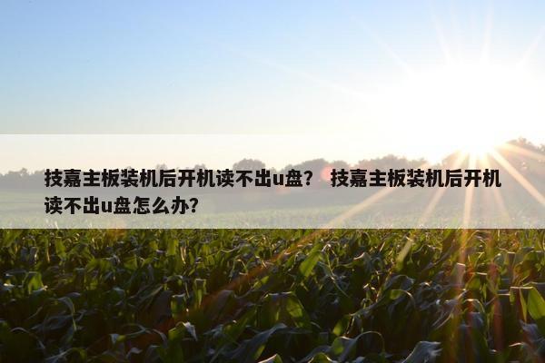 技嘉主板装机后开机读不出u盘？ 技嘉主板装机后开机读不出u盘怎么办？