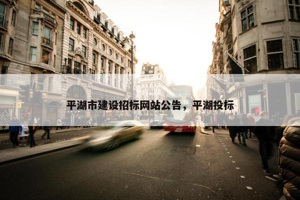平湖市建设招标网站公告，平湖投标