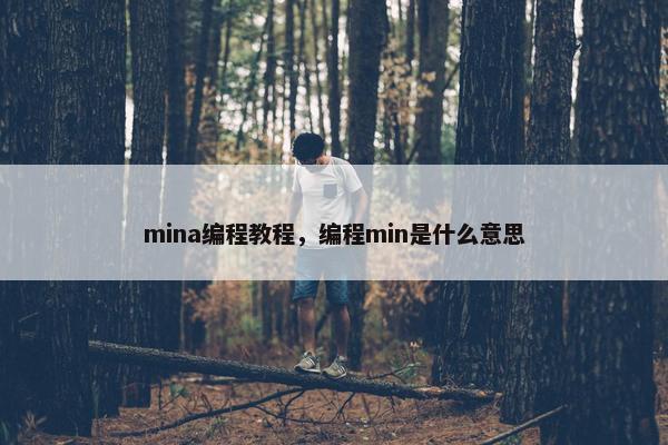 mina编程教程，编程min是什么意思