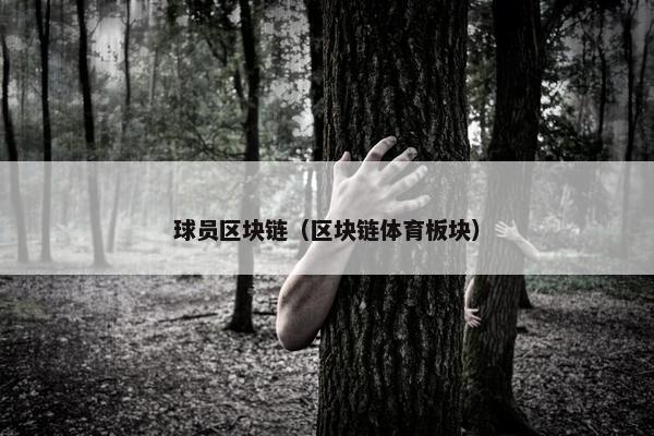 球员区块链（区块链体育板块）