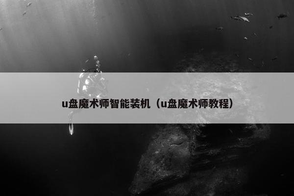 u盘魔术师智能装机（u盘魔术师教程）
