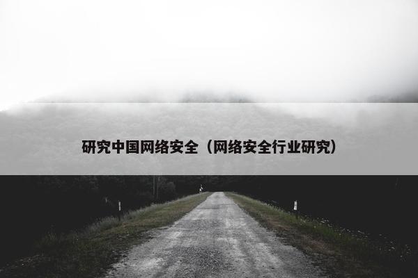 研究中国网络安全（网络安全行业研究）