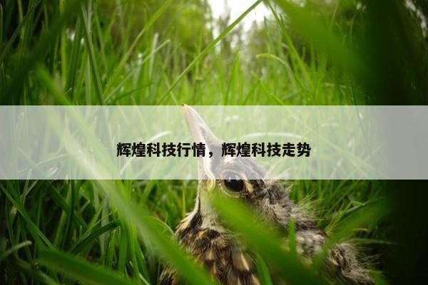 辉煌科技行情，辉煌科技走势