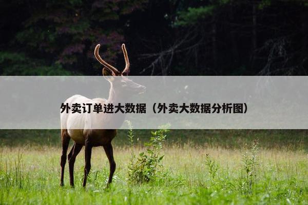 外卖订单进大数据（外卖大数据分析图）