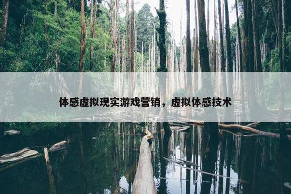 体感虚拟现实游戏营销，虚拟体感技术