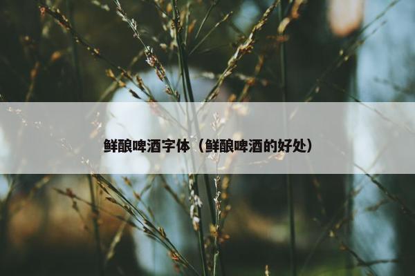 鲜酿啤酒字体（鲜酿啤酒的好处）