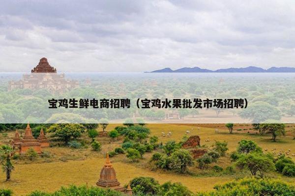 宝鸡生鲜电商招聘（宝鸡水果批发市场招聘）