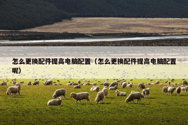 怎么更换配件提高电脑配置（怎么更换配件提高电脑配置呢）
