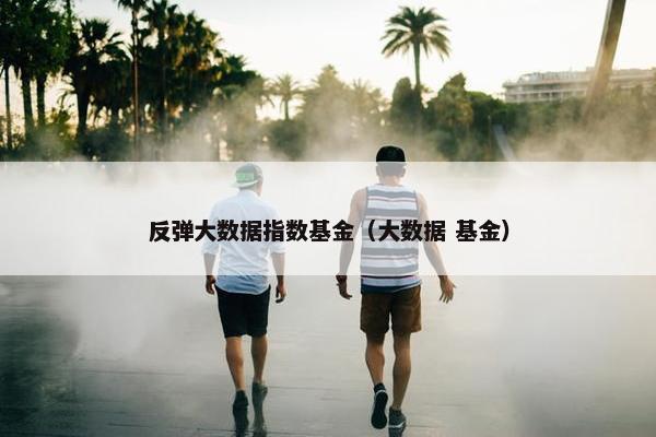 反弹大数据指数基金（大数据 基金）