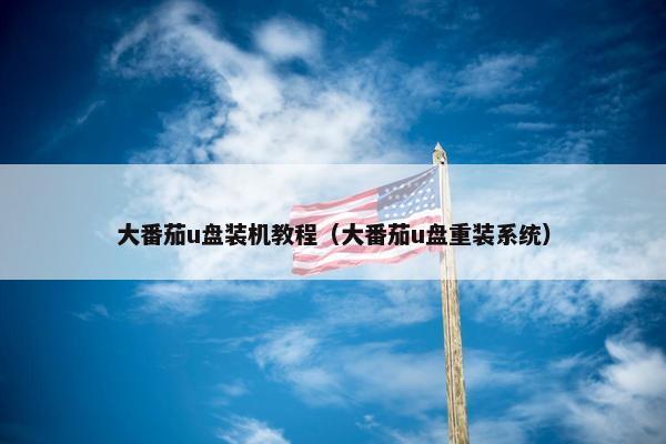 大番茄u盘装机教程（大番茄u盘重装系统）