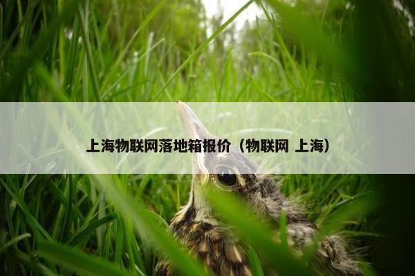 上海物联网落地箱报价（物联网 上海）