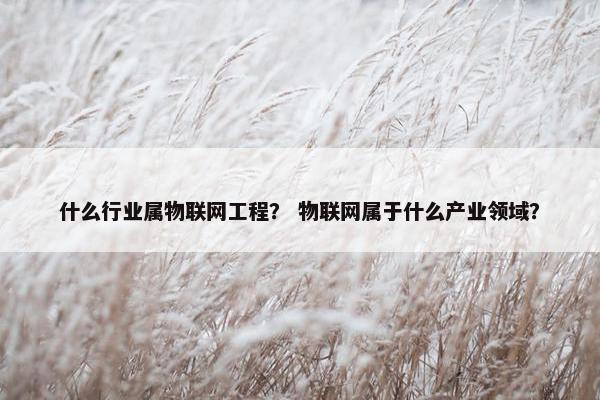 什么行业属物联网工程？ 物联网属于什么产业领域？