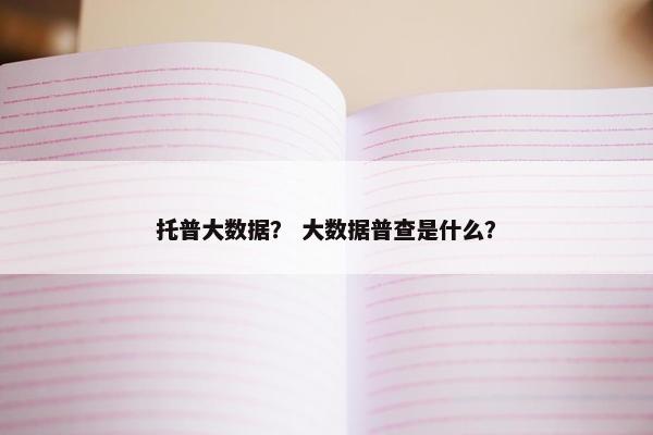 托普大数据？ 大数据普查是什么？