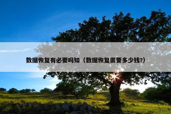 数据恢复有必要吗知（数据恢复需要多少钱?）