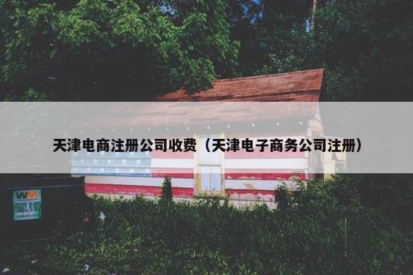 天津电商注册公司收费（天津电子商务公司注册）