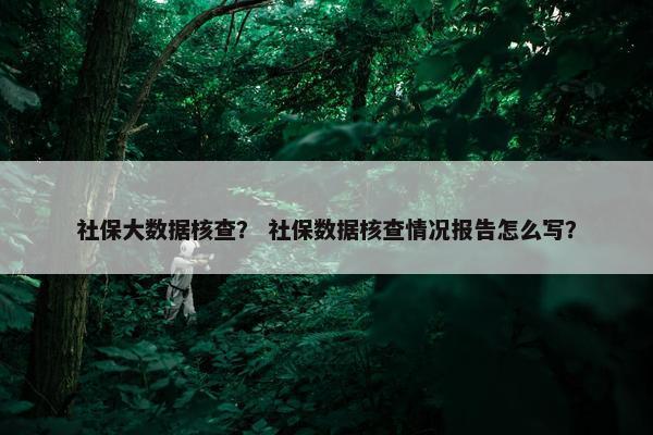 社保大数据核查？ 社保数据核查情况报告怎么写？