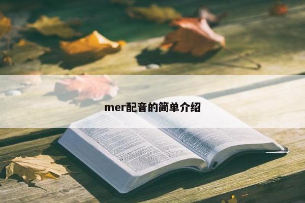 mer配音的简单介绍