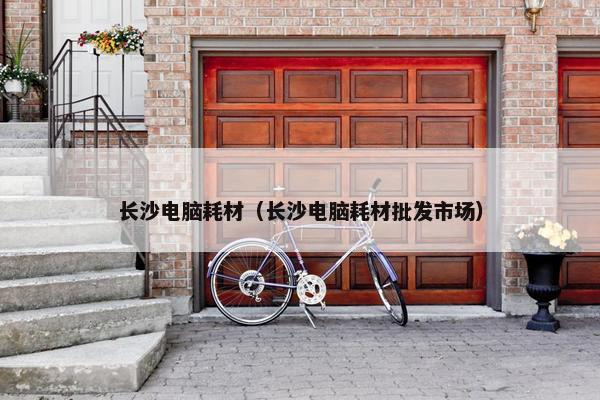 长沙电脑耗材（长沙电脑耗材批发市场）