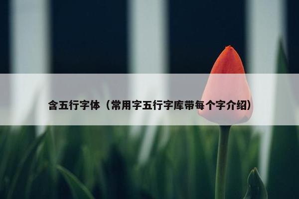 含五行字体（常用字五行字库带每个字介绍）